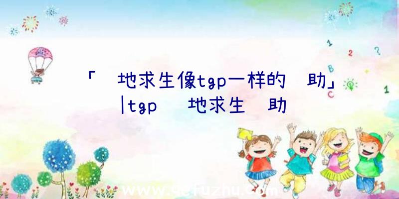 「绝地求生像tgp一样的辅助」|tgp